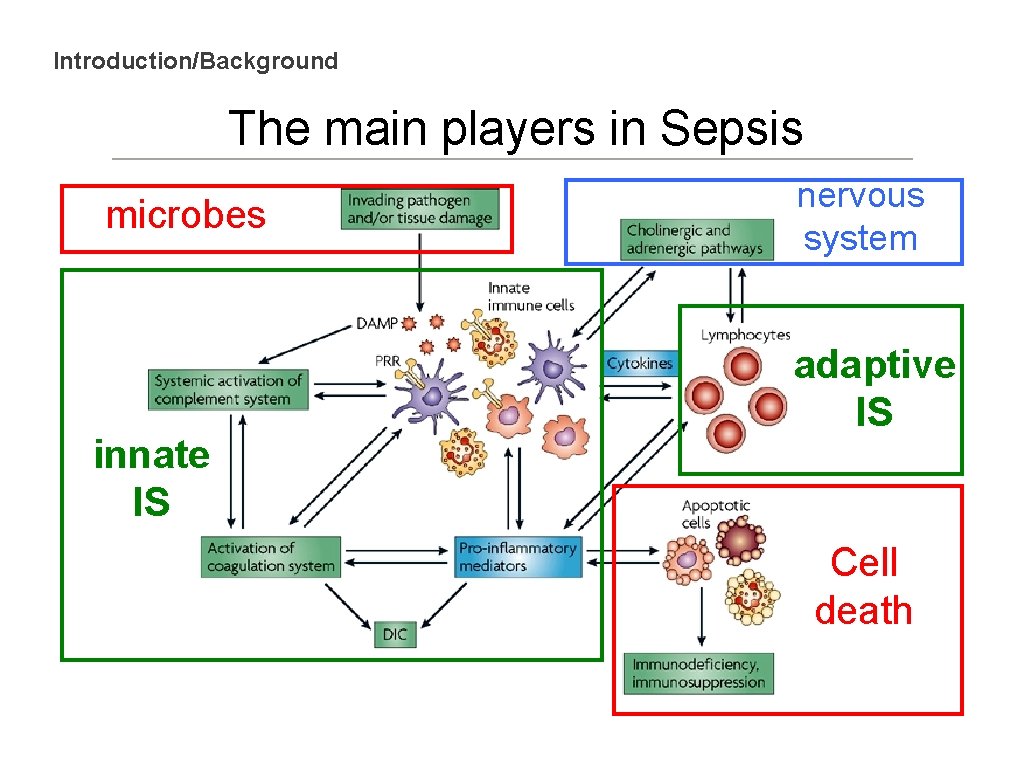 Introduction/Background The main players in Sepsis microbes innate IS nervous system adaptive IS Cell