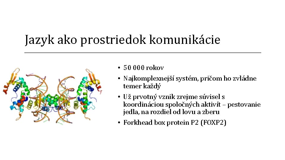 Jazyk ako prostriedok komunikácie • 50 000 rokov • Najkomplexnejší systém, pričom ho zvládne