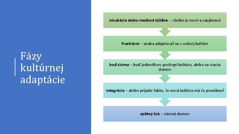 inkubácia alebo medové týždne – všetko je nové a zaujímavé frustrácia – snaha adaptovať