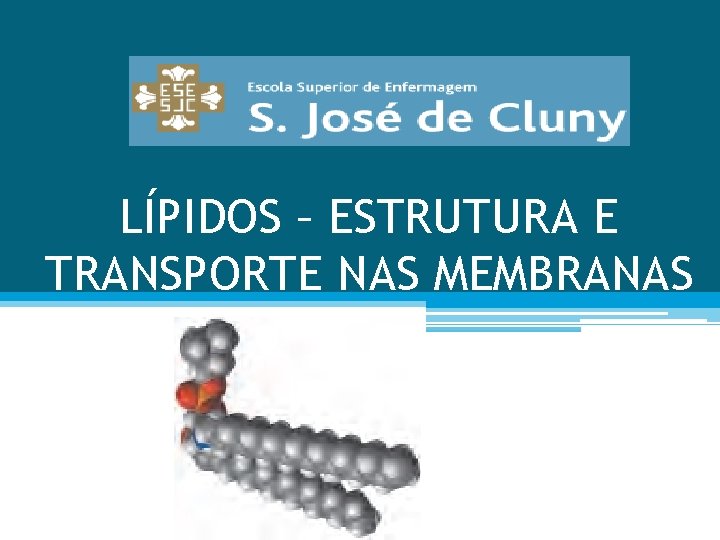 LÍPIDOS – ESTRUTURA E TRANSPORTE NAS MEMBRANAS 