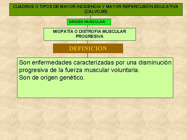 CUADROS O TIPOS DE MAYOR INCIDENCIA Y MAYOR REPERCUSIÓN EDUCATIVA (CALVO, 90) ORIGEN MUSCULAR: