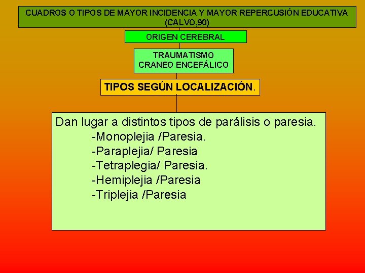 CUADROS O TIPOS DE MAYOR INCIDENCIA Y MAYOR REPERCUSIÓN EDUCATIVA (CALVO, 90) ORIGEN CEREBRAL