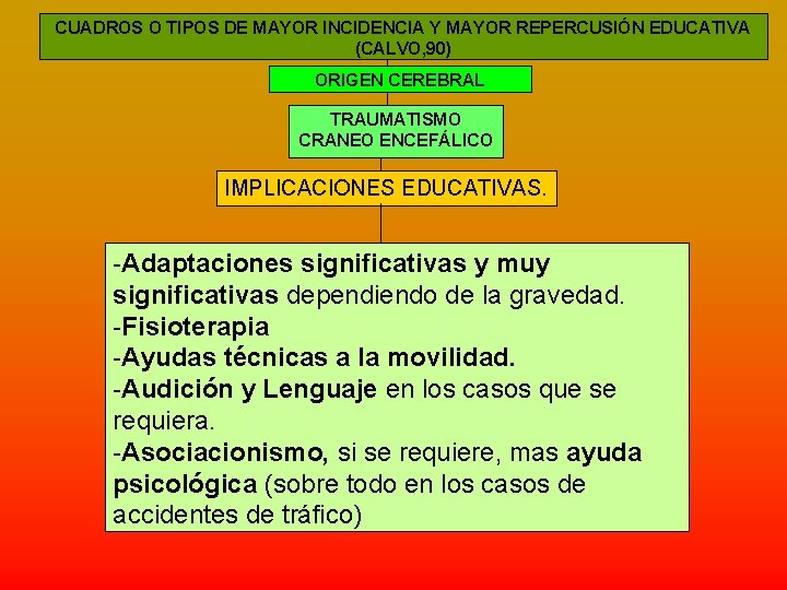 CUADROS O TIPOS DE MAYOR INCIDENCIA Y MAYOR REPERCUSIÓN EDUCATIVA (CALVO, 90) ORIGEN CEREBRAL