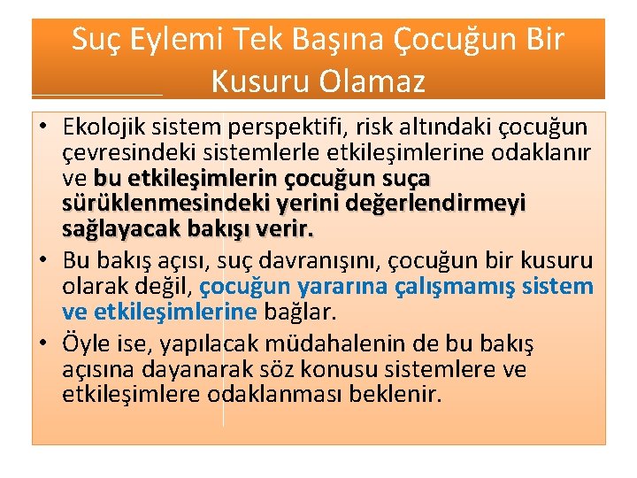 Suç Eylemi Tek Başına Çocuğun Bir Kusuru Olamaz • Ekolojik sistem perspektifi, risk altındaki