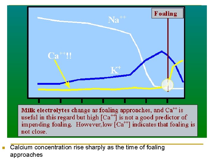 n Calcium concentration rise sharply as the time of foaling approaches 