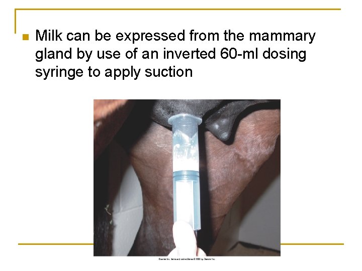 n Milk can be expressed from the mammary gland by use of an inverted