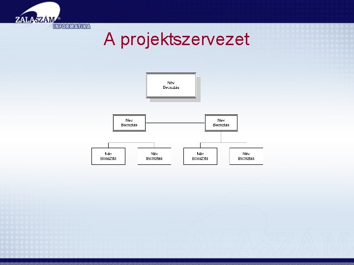 A projektszervezet 