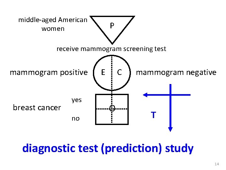 middle-aged American women P receive mammogram screening test mammogram positive breast cancer yes no middle-aged American women P receive mammogram screening test mammogram positive breast cancer yes no