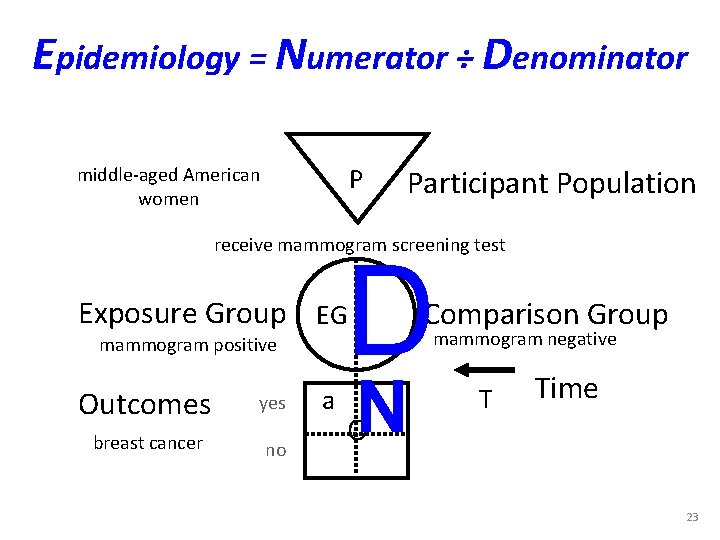 Epidemiology = Numerator ÷ Denominator P middle-aged American women Participant Population receive mammogram screening Epidemiology = Numerator ÷ Denominator P middle-aged American women Participant Population receive mammogram screening