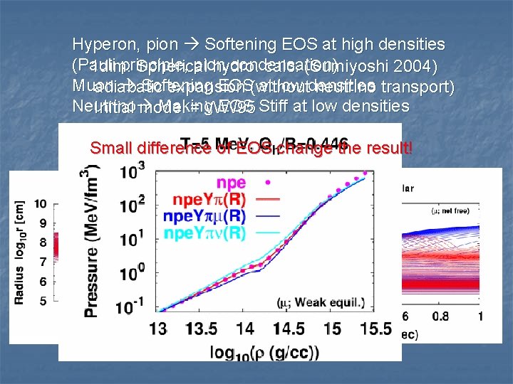 Hyperon, pion Softening EOS at high densities (Pauli principle, pion condensation) 1 dim. Spherical