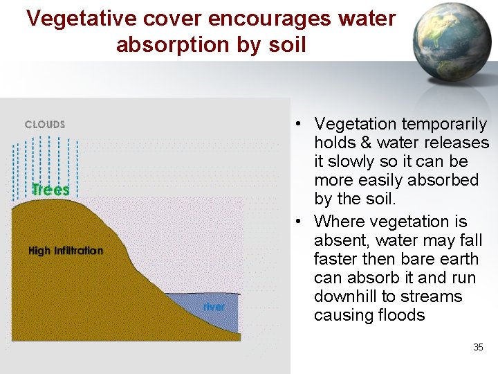 Vegetative cover encourages water absorption by soil • Vegetation temporarily holds & water releases