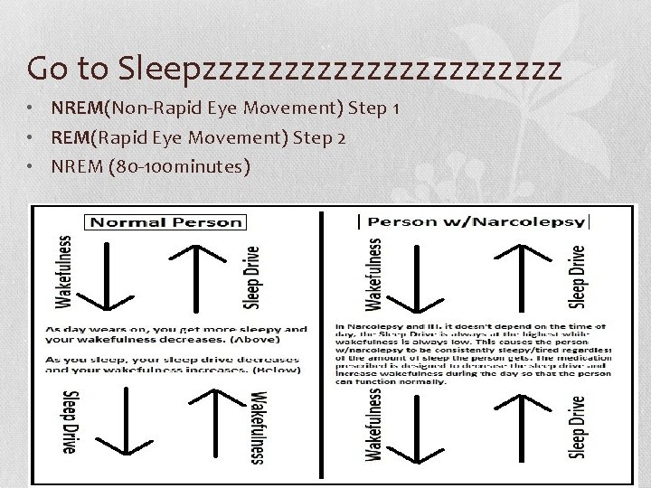 Go to Sleepzzzzzzzzzzz • NREM(Non-Rapid Eye Movement) Step 1 • REM(Rapid Eye Movement) Step