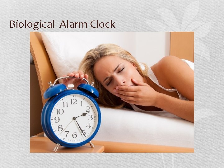 Biological Alarm Clock 