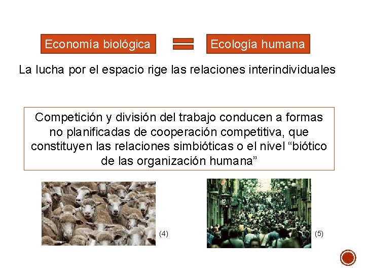 Economía biológica Ecología humana La lucha por el espacio rige las relaciones interindividuales Competición