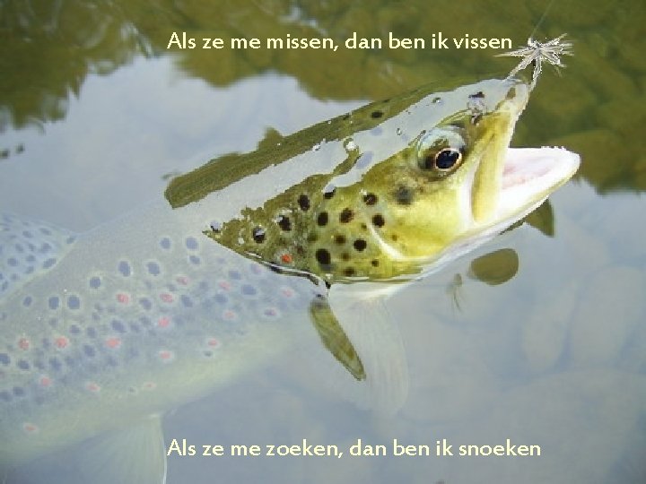 Als ze me missen, dan ben ik vissen Als ze me zoeken, dan ben