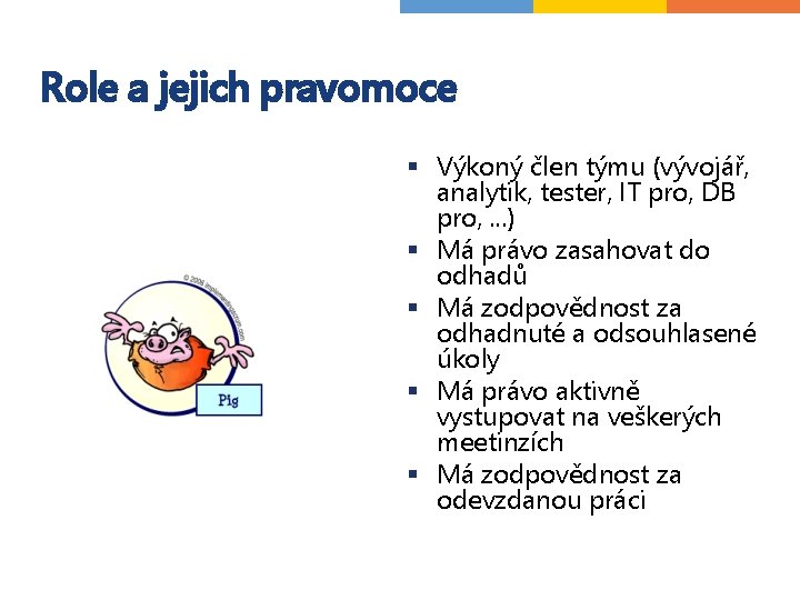 Role a jejich pravomoce § Výkoný člen týmu (vývojář, analytik, tester, IT pro, DB Role a jejich pravomoce § Výkoný člen týmu (vývojář, analytik, tester, IT pro, DB