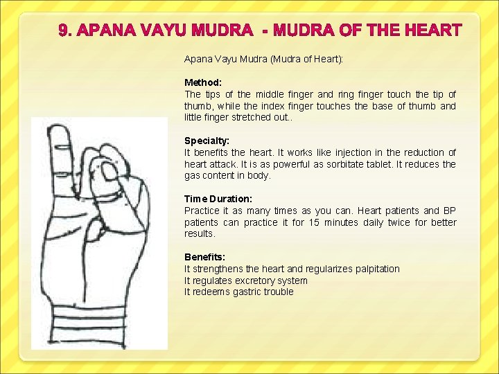 Apana Vayu Mudra (Mudra of Heart): Method: The tips of the middle finger and