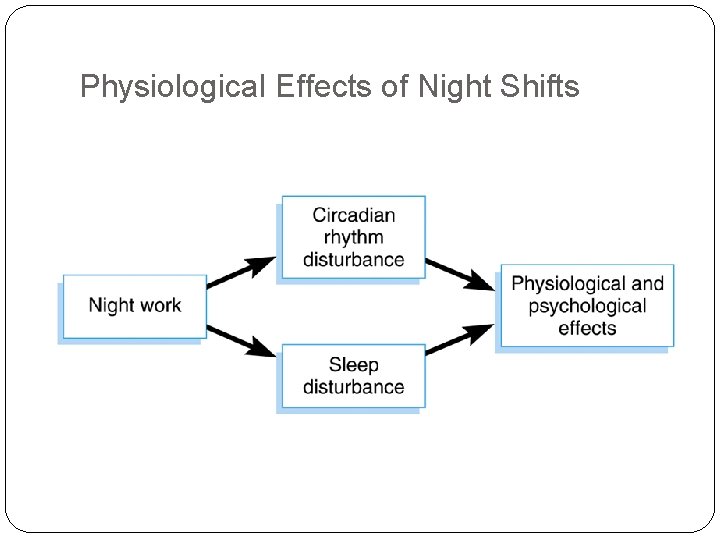 Physiological Effects of Night Shifts 