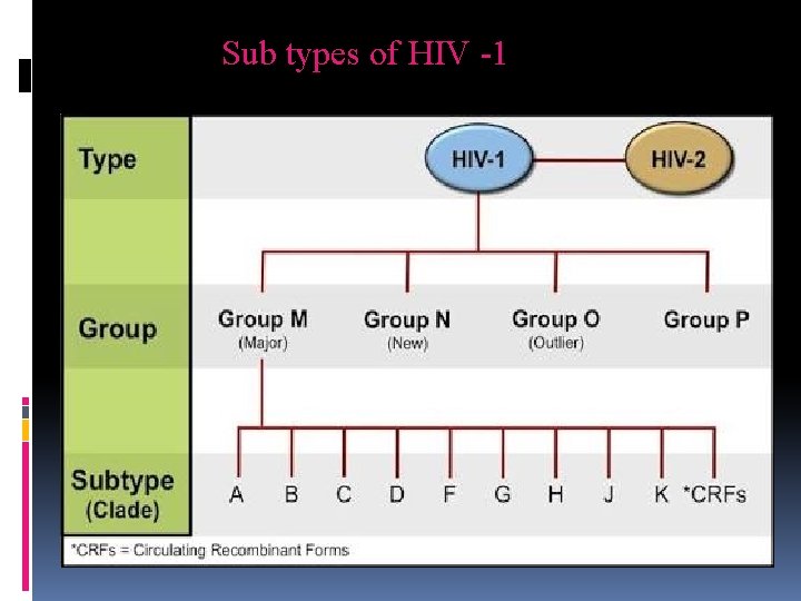 Sub types of HIV -1 