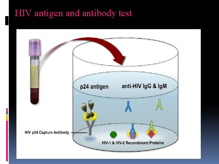 HIV antigen and antibody test 