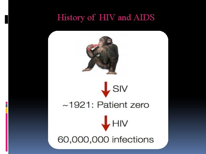 History of HIV and AIDS 