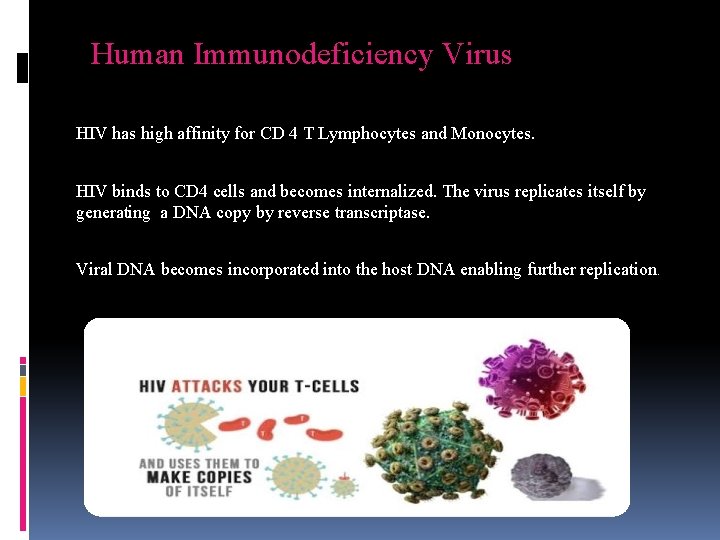 Human Immunodeficiency Virus HIV has high affinity for CD 4 T Lymphocytes and Monocytes.