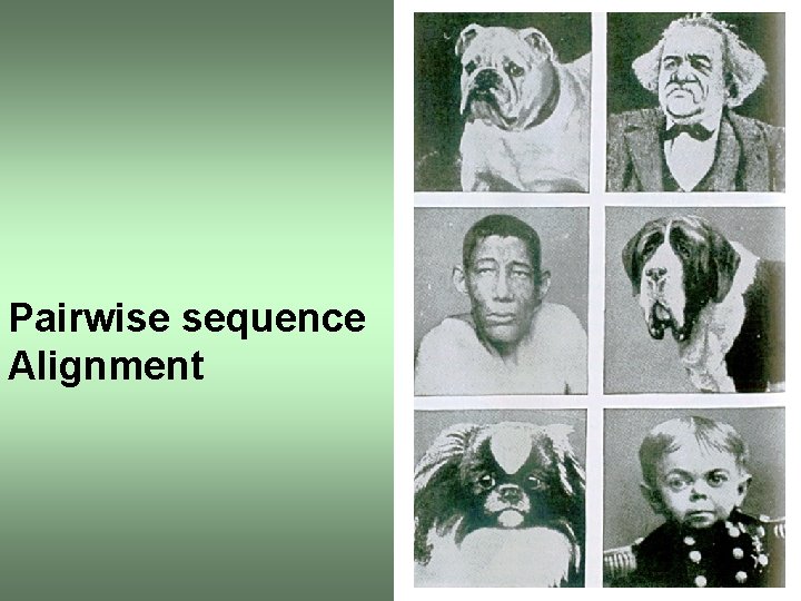 Pairwise sequence Alignment 