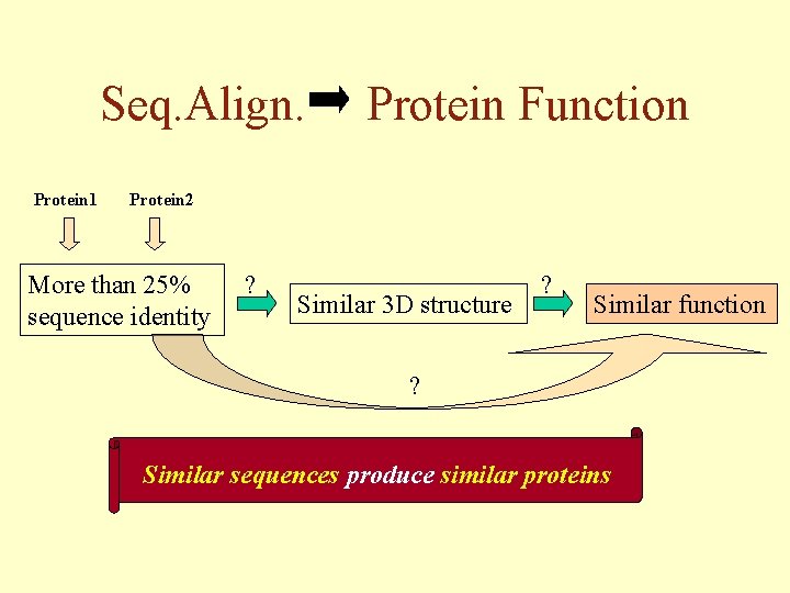 Seq. Align. Protein 1 Protein Function Protein 2 More than 25% sequence identity ?