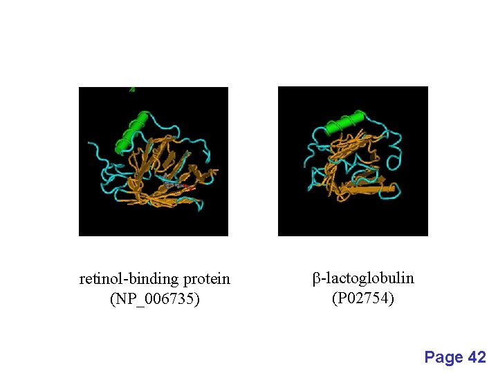 retinol-binding protein (NP_006735) b-lactoglobulin (P 02754) Page 42 