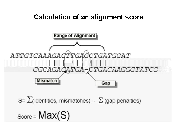 Calculation of an alignment score 