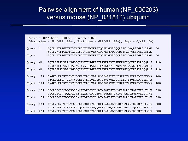 Pairwise alignment of human (NP_005203) versus mouse (NP_031812) ubiquitin 