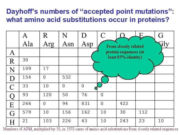 Dayhoff’s numbers of “accepted point mutations”: what amino acid substitutions occur in proteins? From