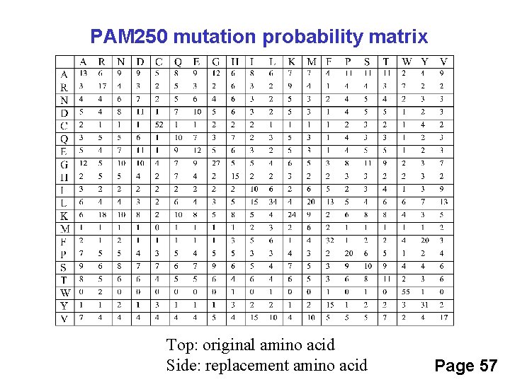 PAM 250 mutation probability matrix Top: original amino acid Side: replacement amino acid Page