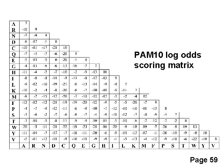 PAM 10 log odds scoring matrix Page 59 