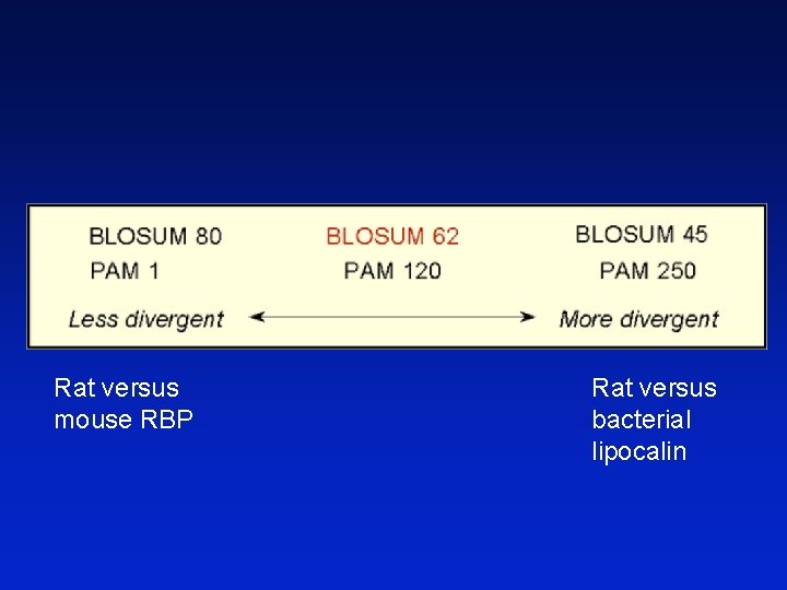 Rat versus mouse RBP Rat versus bacterial lipocalin 