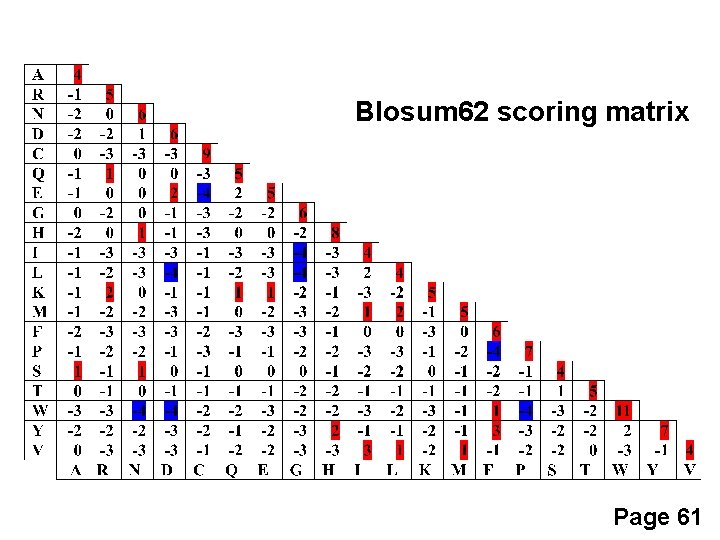 Blosum 62 scoring matrix Page 61 