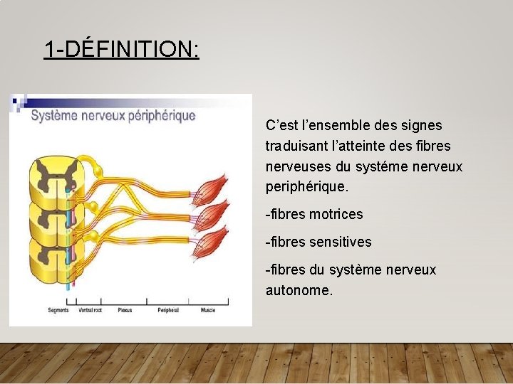 1 -DÉFINITION: C’est l’ensemble des signes traduisant l’atteinte des fibres nerveuses du systéme nerveux