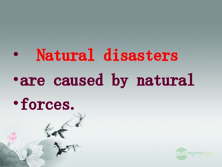  • Natural disasters • are caused by natural • forces. 