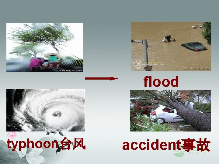 flood typhoon台风 accident事故 