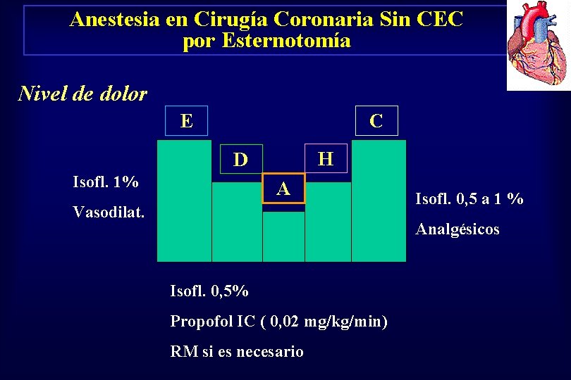 Anestesia en Cirugía Coronaria Sin CEC por Esternotomía Nivel de dolor E C H