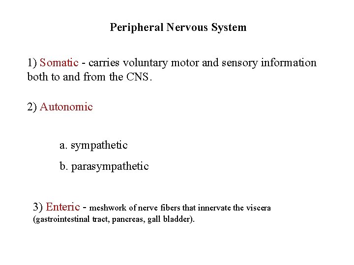 Peripheral Nervous System 1) Somatic - carries voluntary motor and sensory information both to