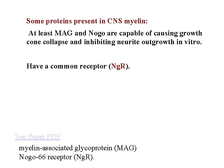 Some proteins present in CNS myelin: At least MAG and Nogo are capable of