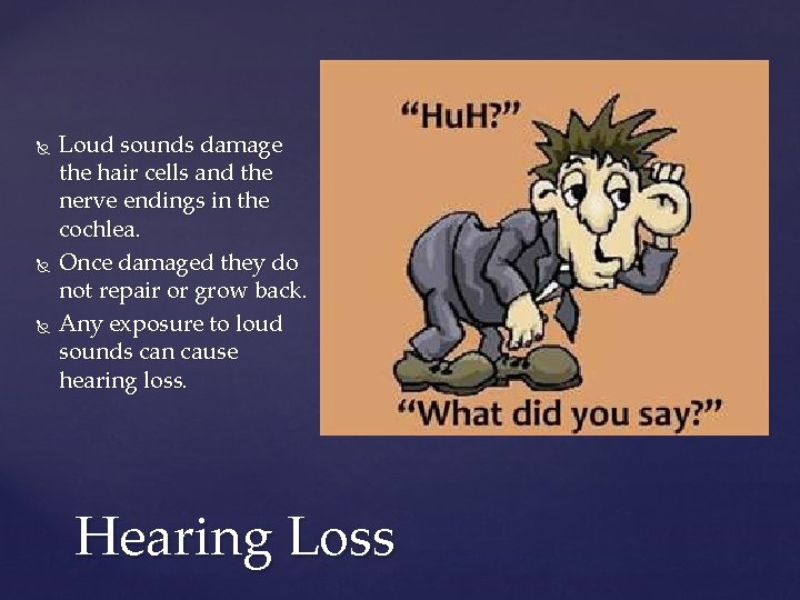  Loud sounds damage the hair cells and the nerve endings in the cochlea.