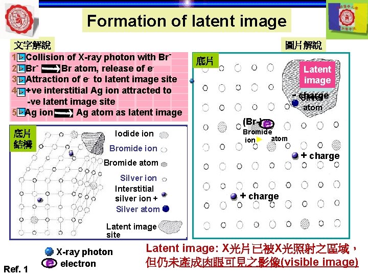 Formation of latent image 文字解說 1. Collision of X-ray photon with Br 2. Br