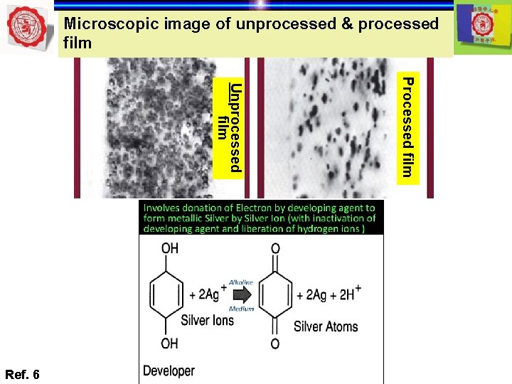 Microscopic image of unprocessed & processed film Processed film Unprocessed film Ref. 6 