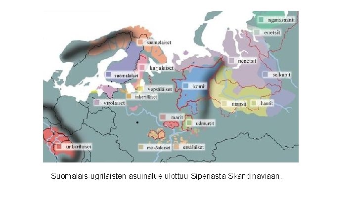 Suomalais-ugrilaisten asuinalue ulottuu Siperiasta Skandinaviaan. 