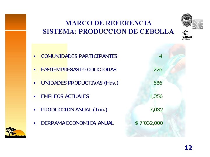 MARCO DE REFERENCIA SISTEMA: PRODUCCION DE CEBOLLA • COMUNIDADES PARTICIPANTES 4 • FAMIEMPRESAS PRODUCTORAS