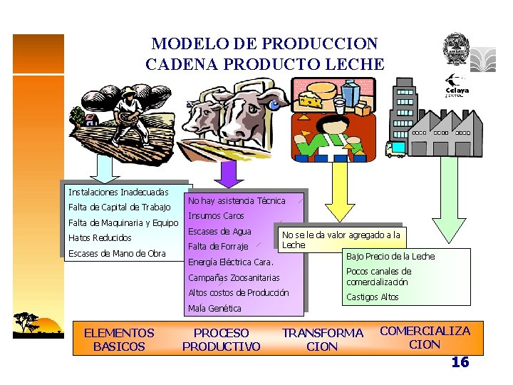MODELO DE PRODUCCION CADENA PRODUCTO LECHE Instalaciones Inadecuadas Falta de Capital de Trabajo Falta