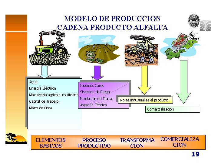 MODELO DE PRODUCCION CADENA PRODUCTO ALFALFA Agua Energía Eléctrica Insumos Caros Sistemas de Riego