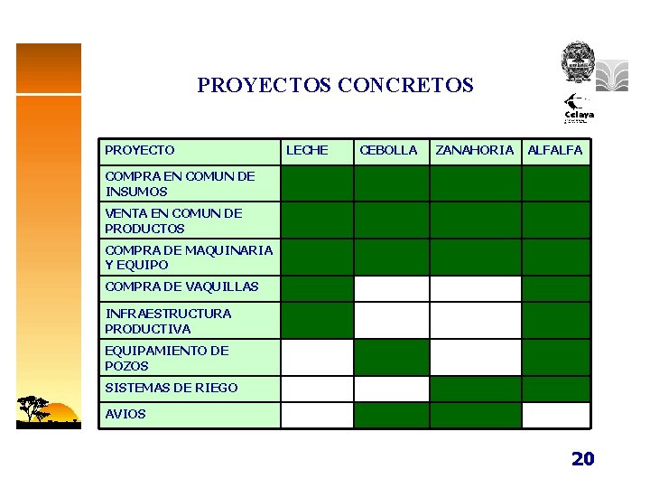 PROYECTOS CONCRETOS PROYECTO LECHE CEBOLLA ZANAHORIA ALFALFA COMPRA EN COMUN DE INSUMOS VENTA EN